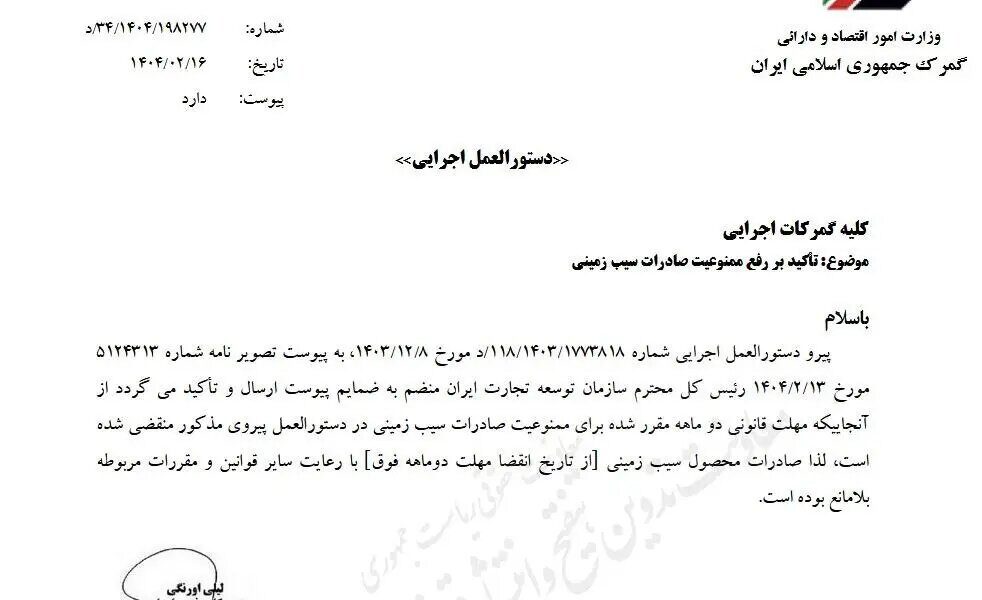 صادرات سیب زمینی آزاد شد