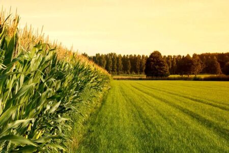 همکاری‌های نویدبخش برای امنیت غذایی