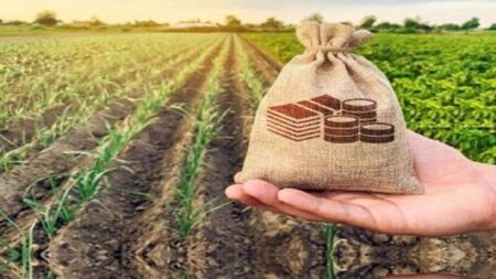 صندوق‌های حمایت از توسعه سرمایه‌گذاری کشاورزی تقویت می‌شوند