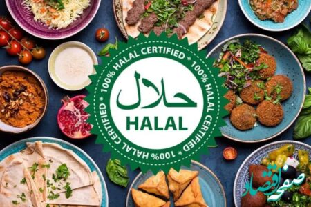 تدوین نقشه راه صادرات حلال؛ گامی کلیدی برای دسترسی کشور به بازارهای بین‌المللی
