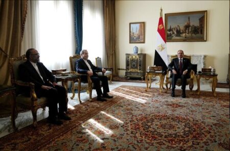 دیدار عراقچی با رئیس‌جمهور مصر
