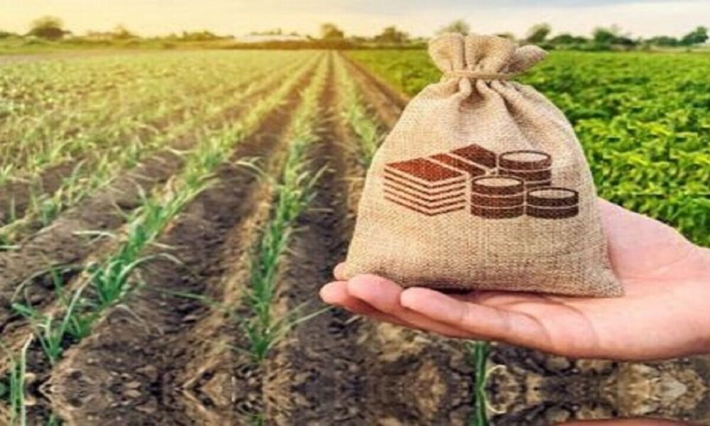 تقویت دیپلماسی مالی و بانکی؛ کلید توسعه پایدار کشاورزی کشور تقویت دیپلماسی مالی و بانکی؛ کلید توسعه پایدار کشاورزی کشور