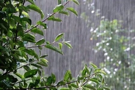 تشدید سامانه بارشی در ۱۸ استان کشور؛ برای باران و طوفان آماده باشید