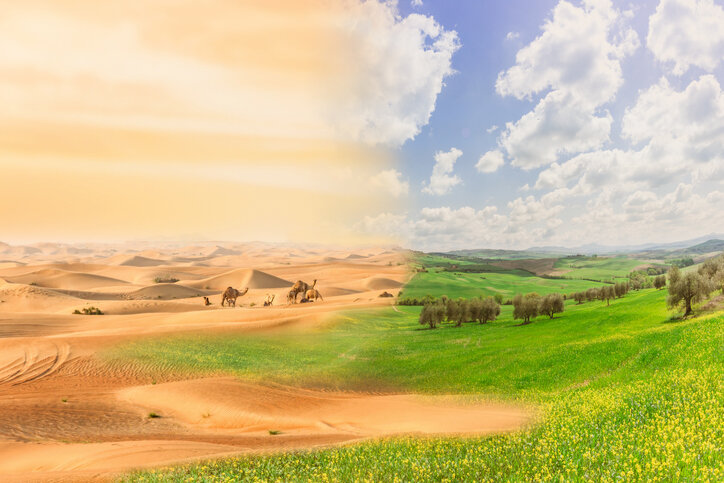 ایران، پیشگام در مقابله با بیابان‌زایی و مدیریت جامع خشکسالی در منطقه
