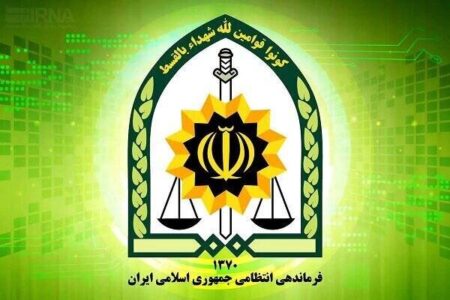 توضیح پلیس درباره بازداشت یکی از بازیگران معروف توضیح پلیس درباره بازداشت یکی از بازیگران معروف