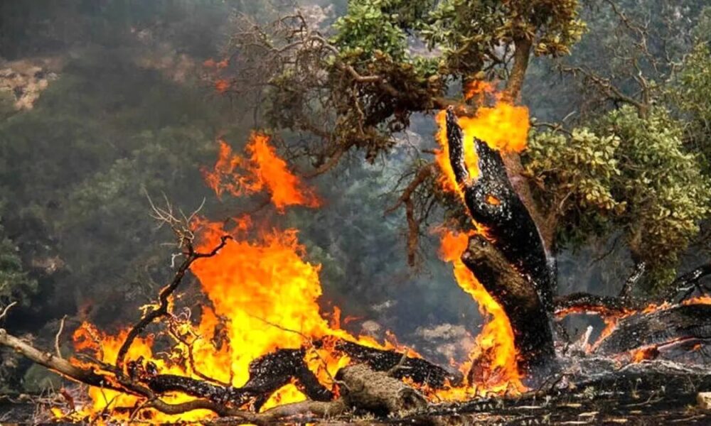 با این بحران جدید چه می‌کنید؟