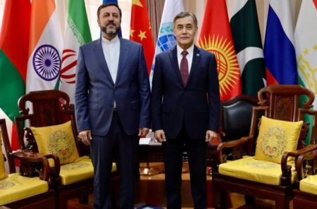 غریب‌آبادی با دبیرکل سازمان همکاری شانگهای دیدار کرد