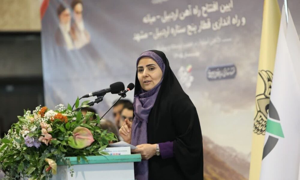 شهر فرودگاهی امام خمینی ظرفیت بالایی برای جذب سرمایه‌گذاری بخش خصوصی دارد