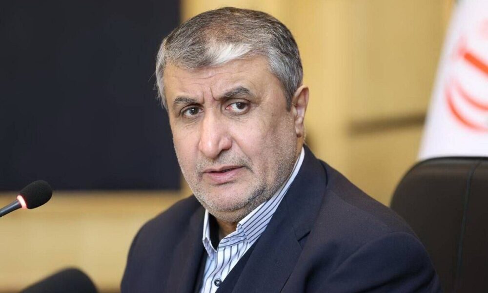 رئیس سازمان انرژی اتمی: صنعت هسته‌ای ایران مرهون هدایت‌ها و حمایت‌های امام شهید است