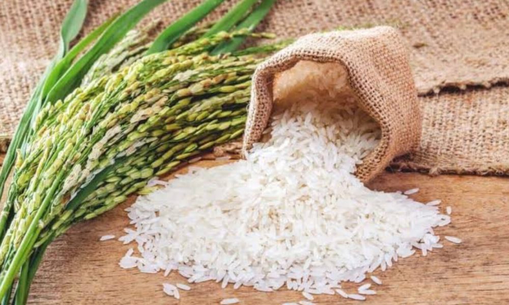 آغاز ثبت سفارش واردات برنج سفید و غیرسفید برای ۶ ماه