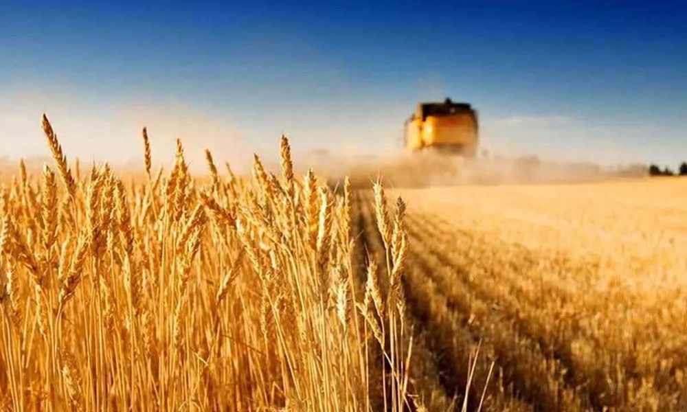 اصفهان برای کشت پاییزه در ۱۷۸ هزار هکتار آماده شد