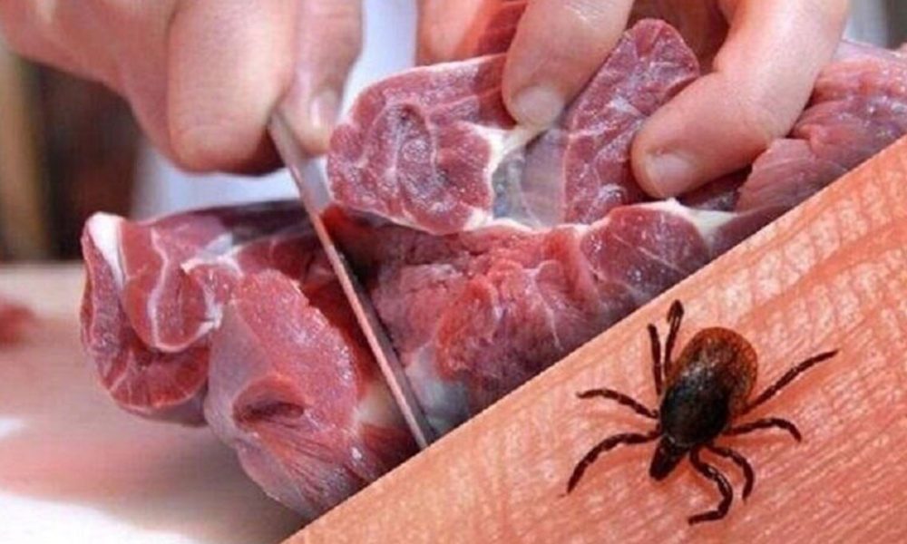 هشدار قرمز؛ ۳۱ مبتلا به تب کریمه کنگو در کشور/ این سه استان در صدر خطر!