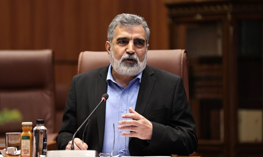 کمالوندی: آمریکا در کنفرانس عمومی آژانس شکست خورد