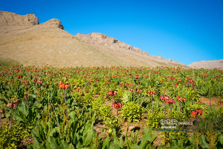 ۱۱ اثر طبیعی اصفهان در مسیر ثبت ملی