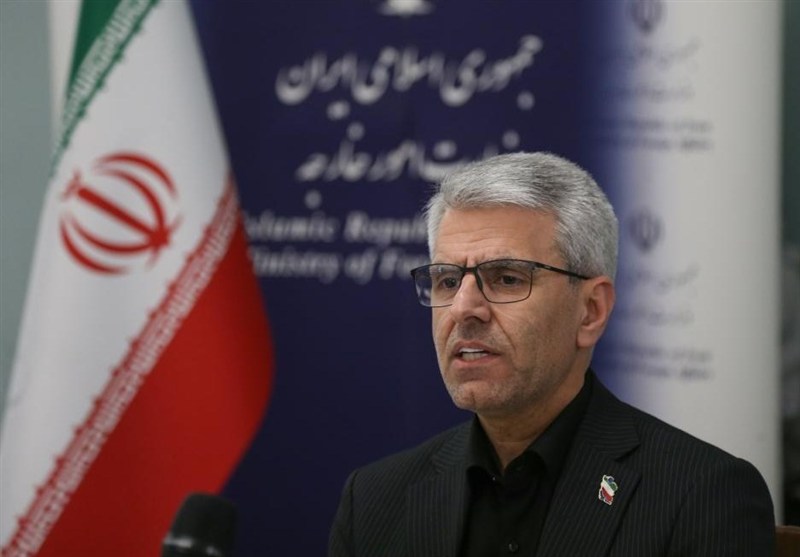 بقائی: آمریکا بر خواسته‌های یک‌جانبه خود اصرار و پافشاری دارد