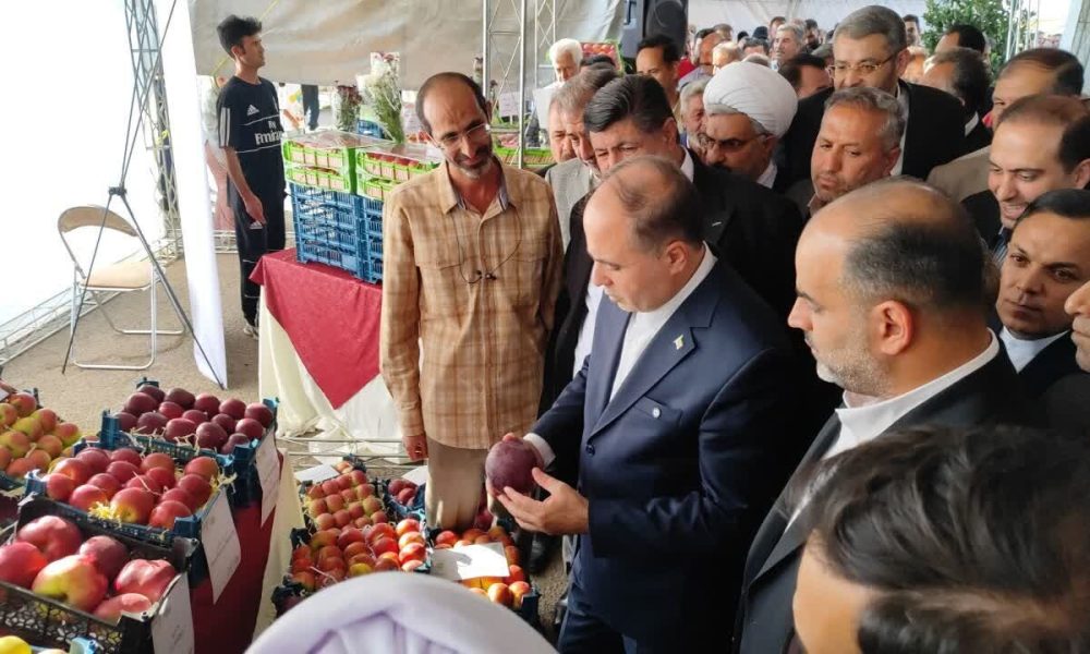 سیب ایران در آستانه رکورد تولید؛ چشم بازار به صادرات یک میلیون تنی این محصول است